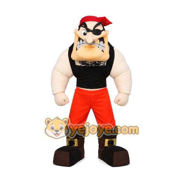 Fierce Pirate Mascot Costume