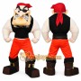 Fierce Pirate Mascot Costume
