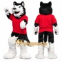 Sport Wolf Mascot Costume For Adult