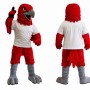 Red Eagle Mascot Costume