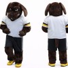Power Sport Dog Mascot Costume