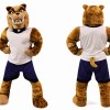 Power Lightweight Bulldog Mascot Costume