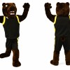 Fierce Brown Bear Mascot Costume For Adult