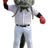 Catfish playing baseball Mascot Costume