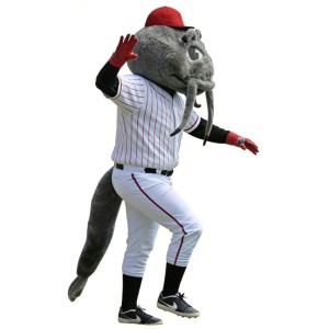 Catfish playing baseball Mascot Costume
