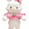 Pink Wearing Bunny Mascot Costume