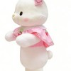 Pink Wearing Bunny Mascot Costume