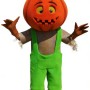 Adorable Pumpkin Cartoon Mascot Costume