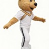 Brown Bear Cartoon Mascot Costume