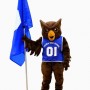 Brown Owl School Mascot Costume