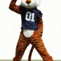Sports Tiger Mascot Costume