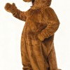 Brown Beaver mascot costume