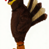 Long haired turkey mascot costume