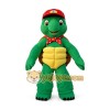 Green turtle cartoon mascot costume
