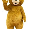 Brown Bear Cartoon Mascot Costume