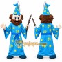 Cartoon Wizard Mascot Costume Adult Full Body Plush Character Costume