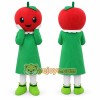 Apple Mascot Costume Adult Size Full Body Plush Fruit Costume