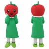 Apple Mascot Costume Adult Size Full Body Plush Fruit Costume