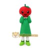 Apple Mascot Costume Adult Size Full Body Plush Fruit Costume