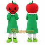 Apple Mascot Costume Adult Size Full Body Plush Fruit Costume