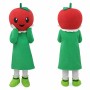 Apple Mascot Costume Adult Size Full Body Plush Fruit Costume