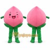Adult Peach Mascot Costume Cartoon Fruit Character Suit for Party Events Promotion Adult Peach Mascot Costume Cartoon Fruit Character Suit for Party Events Promotion
