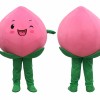 Adult Peach Mascot Costume Cartoon Fruit Character Suit for Party Events Promotion