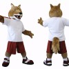 Sports Wolf Mascot Costume Wolf Costume
