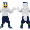 Aardvark Anteaters Mascot Costume