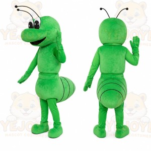 Green Grasshopper Mascot Costume