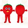 Red Strawberry Mascot Costume