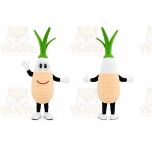 Funny Onion Mascot Costume