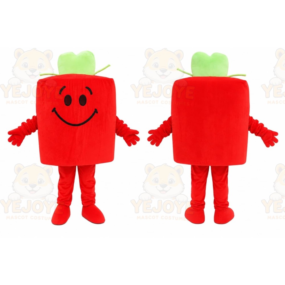 Red Gift Box Mascot Costume