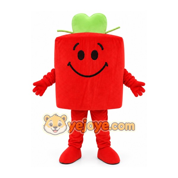 Red Gift Box Mascot Costume
