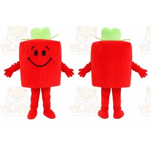 Red Gift Box Mascot Costume