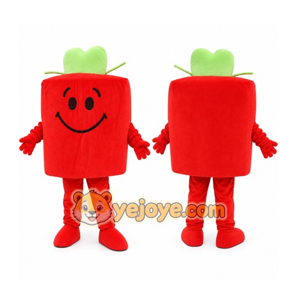 Red Gift Box Mascot Costume