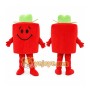 Red Gift Box Mascot Costume