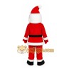 Santa Claus Mascot Costume