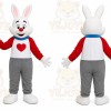 Rabbit Boy Mascot Costume