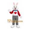 Rabbit Boy Mascot Costume Rabbit Boy Mascot Costume