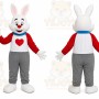 Rabbit Boy Mascot Costume