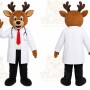 Reindeer Doctor Mascot Costume