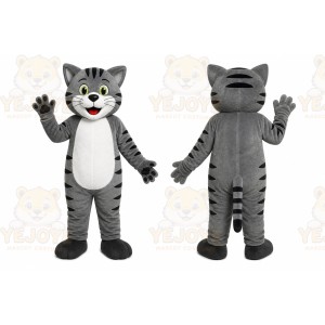 Gray Cat Mascot Costume