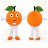 Orange Fruit Mascot Costume