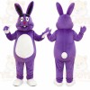 Purple Rabbit Mascot Costume