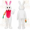 White Rabbit Carrot Mascot Costume