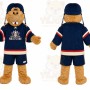 Football Bear Mascot Costume