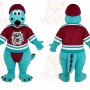 Hockey Lizard Mascot Costume