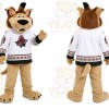 Sports Coyote Mascot Costume