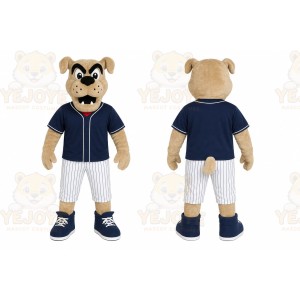 Baseball Bear Mascot Costume